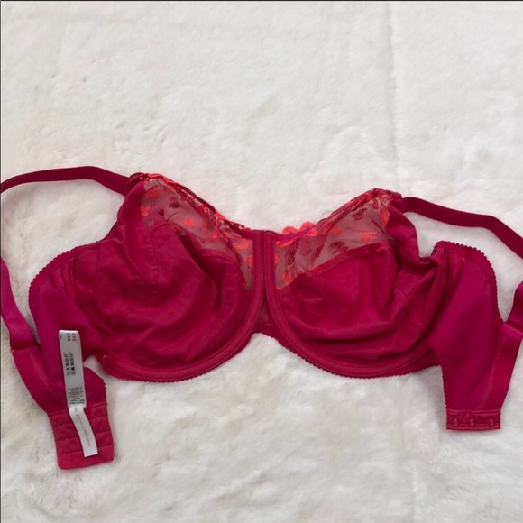 PRIMA DONNA - EUC-NWOT Bra (36I) - Picture 6 of 7
